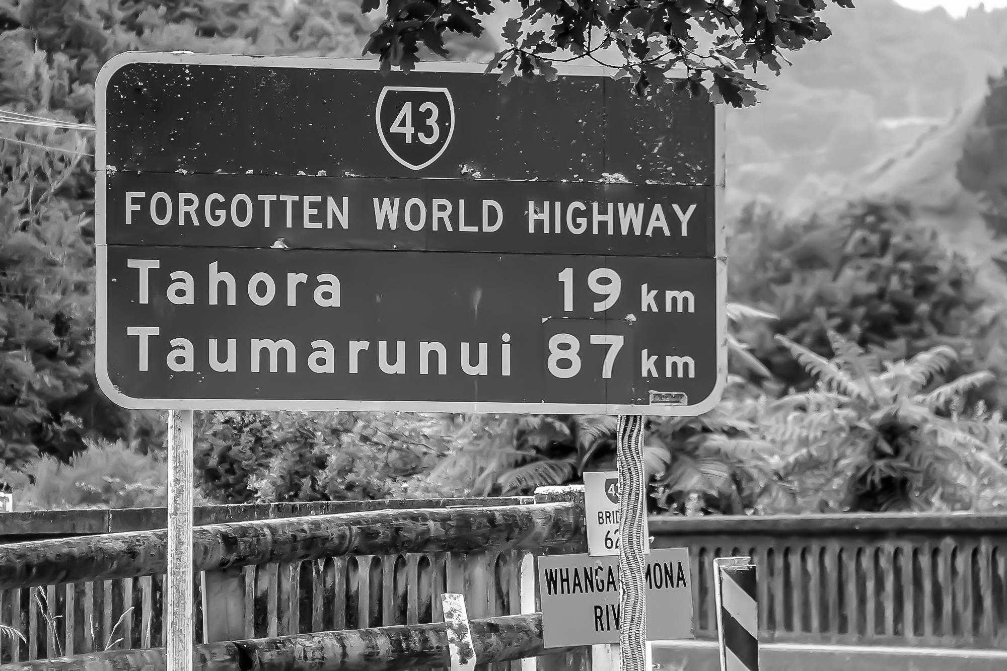 Forgotten World Highway